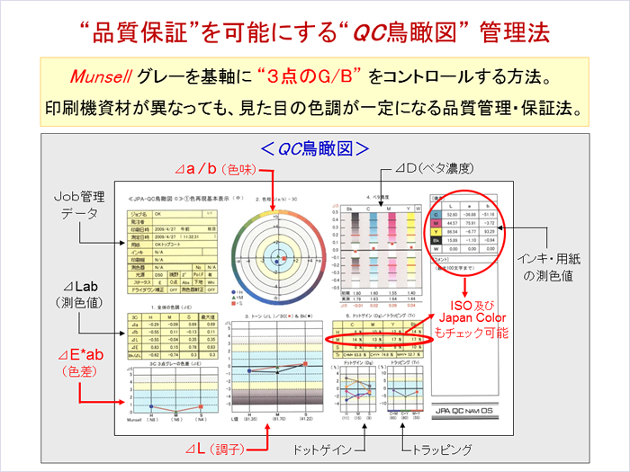 QC鳥瞰図